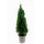 Lebensbaum Thuja Smaragd, 80-100 cm (Topf Ø 23 cm), Topfgewachsen