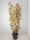 Physocarpus opulifolius Amber Jubilee®, Blasenspiere, 80-100 cm, im 5-l-Container (Ø 23 cm) inkl. Dünger