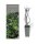 Aronia melanocarpa Viking, Apfelbeere, 30-40 cm, im 2-l-Container (Ø 17 cm) inkl. Dünger