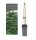Euodia hupehensis, Bienenbaum, 30-40 cm, im 2-l-Container (Ø 17 cm) inkl. Dünger
