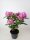 Rhododendron Roseum Elegans, Rosa, im 4 l Container inkl. Dünger